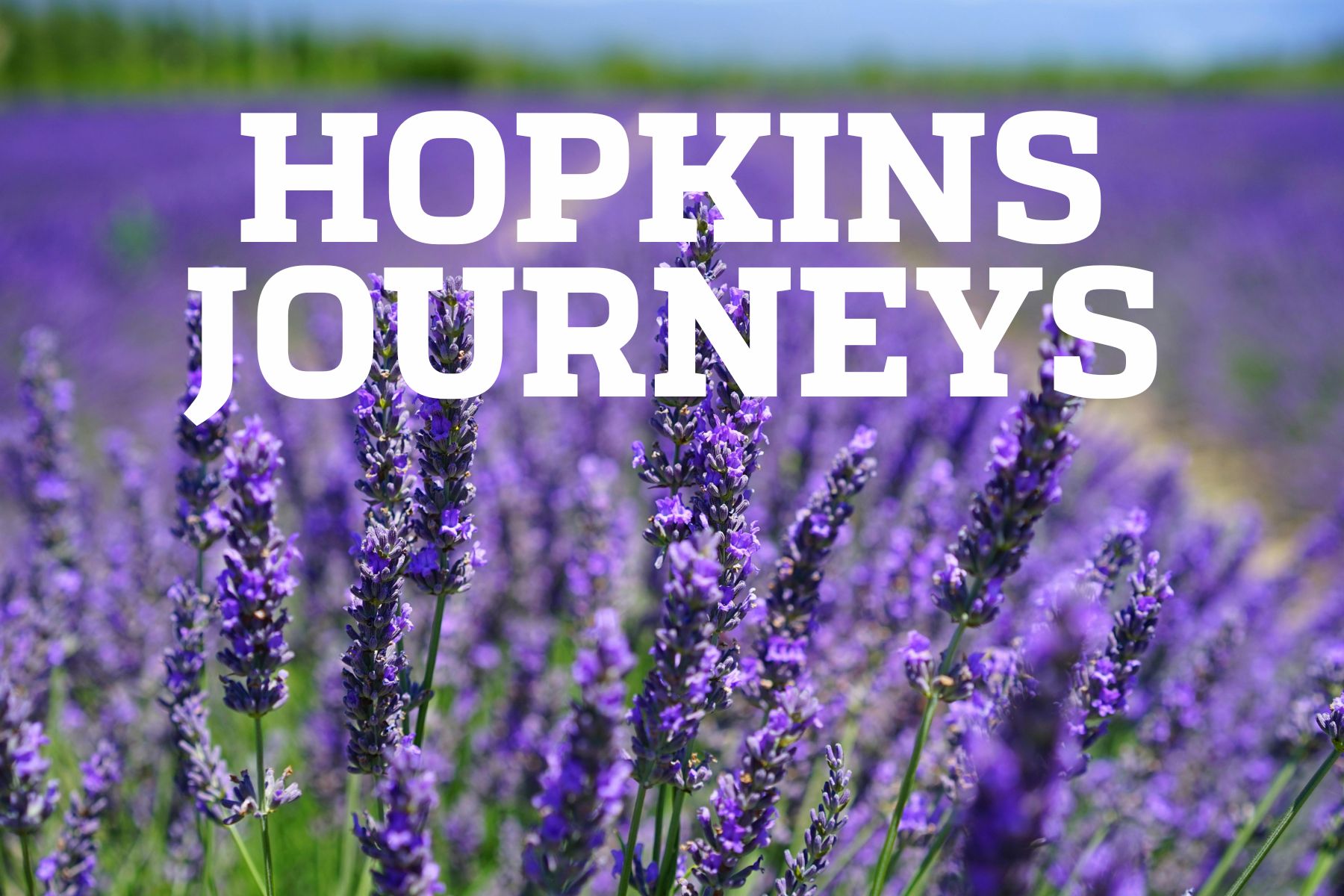 Hopkins Journeys_Pleasures of Provence