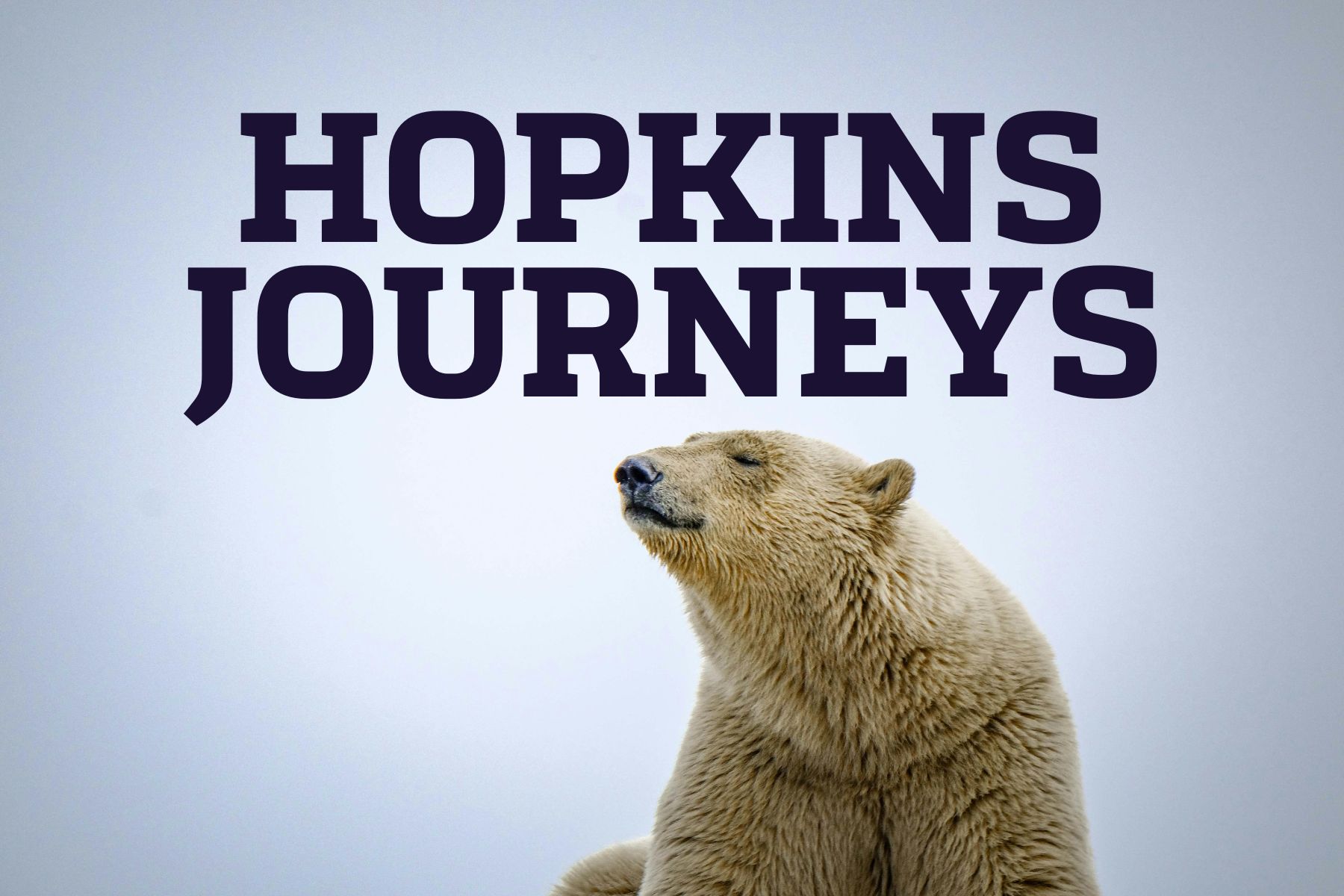 Hopkins Journeys_PolarBears