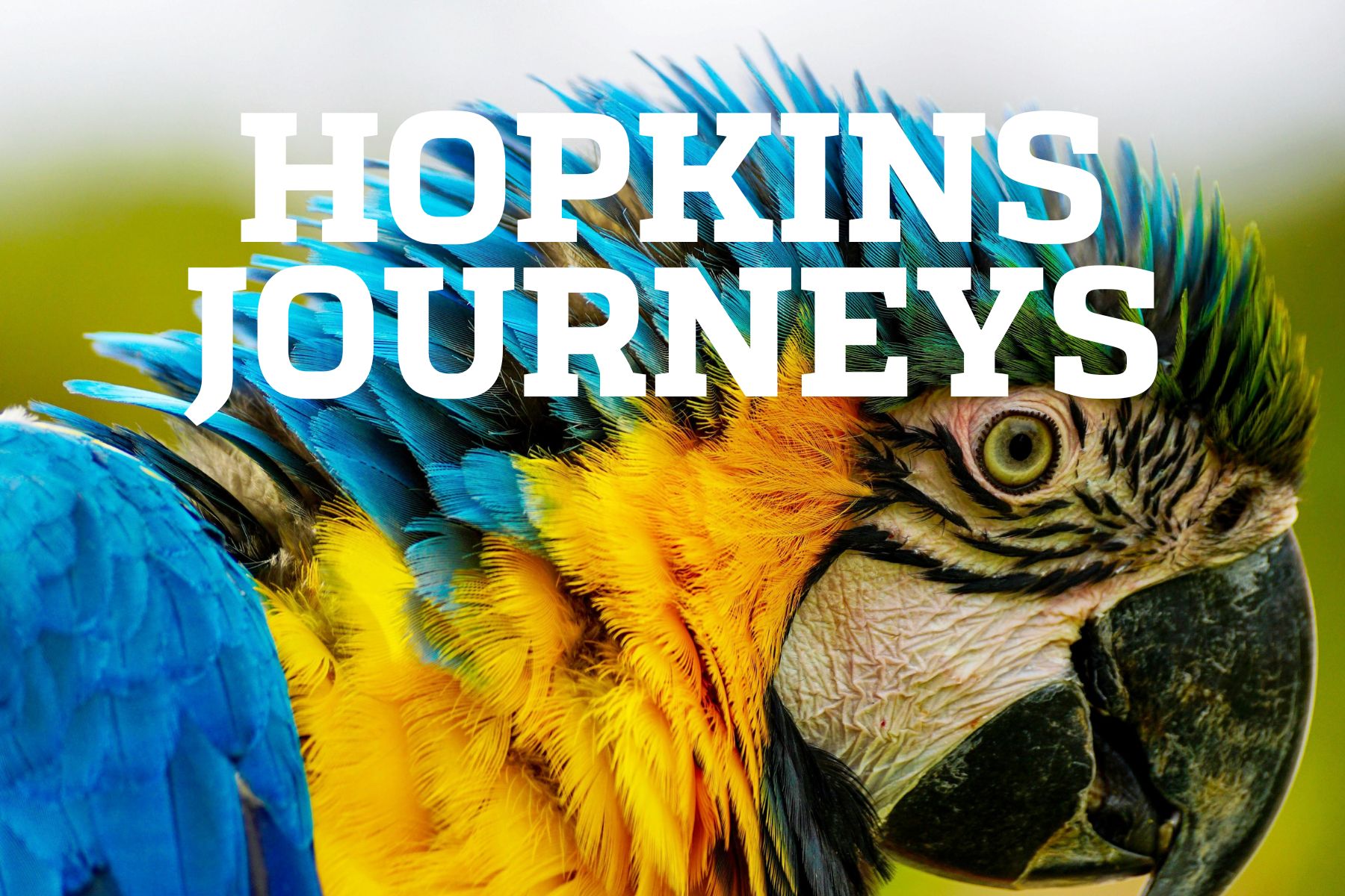 Hopkins Journeys_WondersofPeru