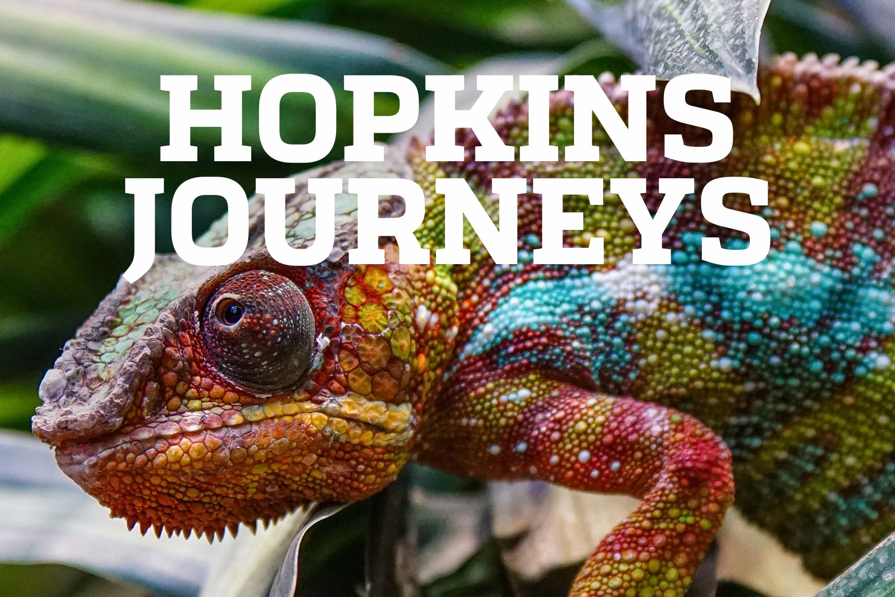 Hopkins Journeys_Passage from the Seychelles to Madagascar