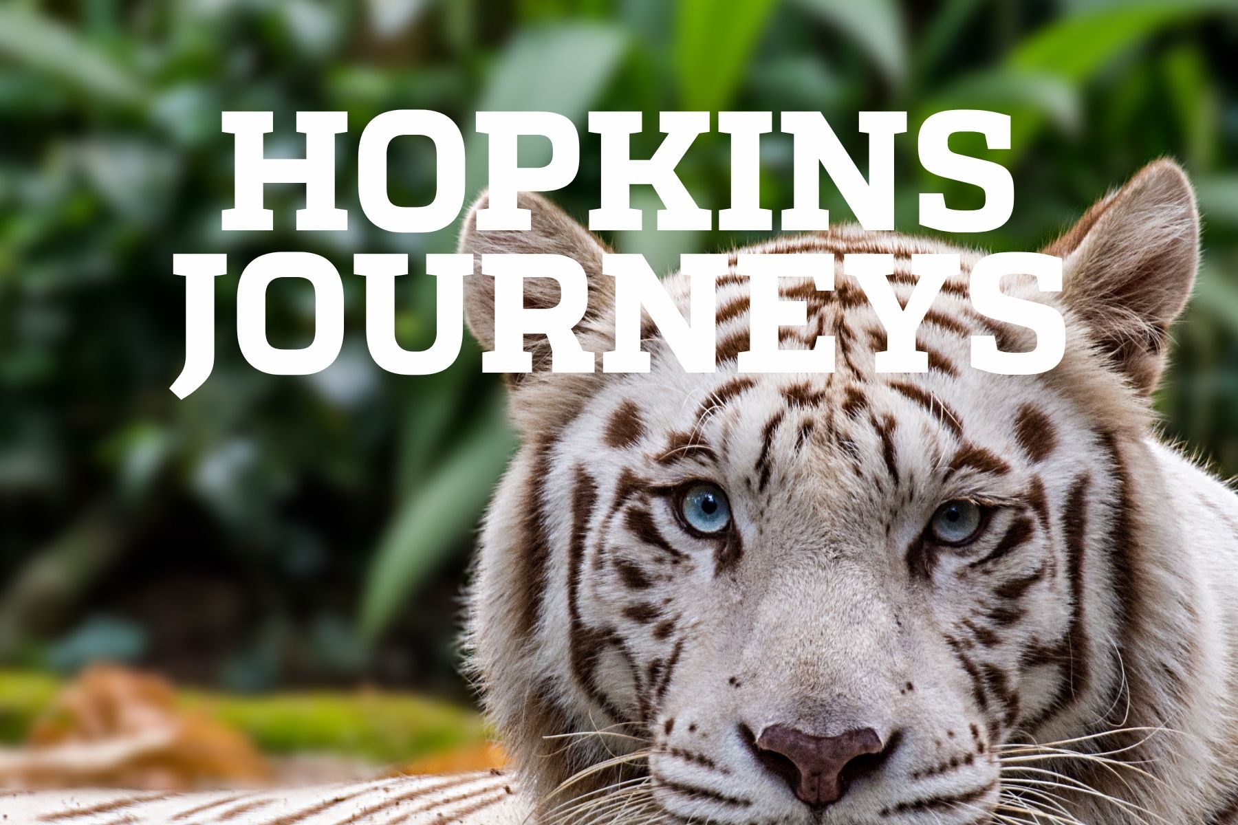 Hopkins Journeys_Bali_F26