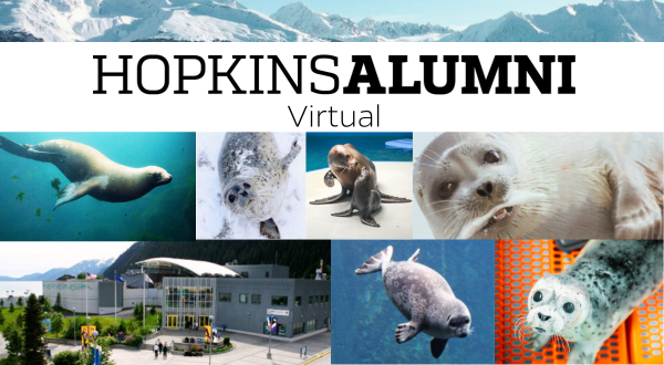  Alaska SeaLife Center - Virtual Program: Marine Mammal Adaptations Header Image