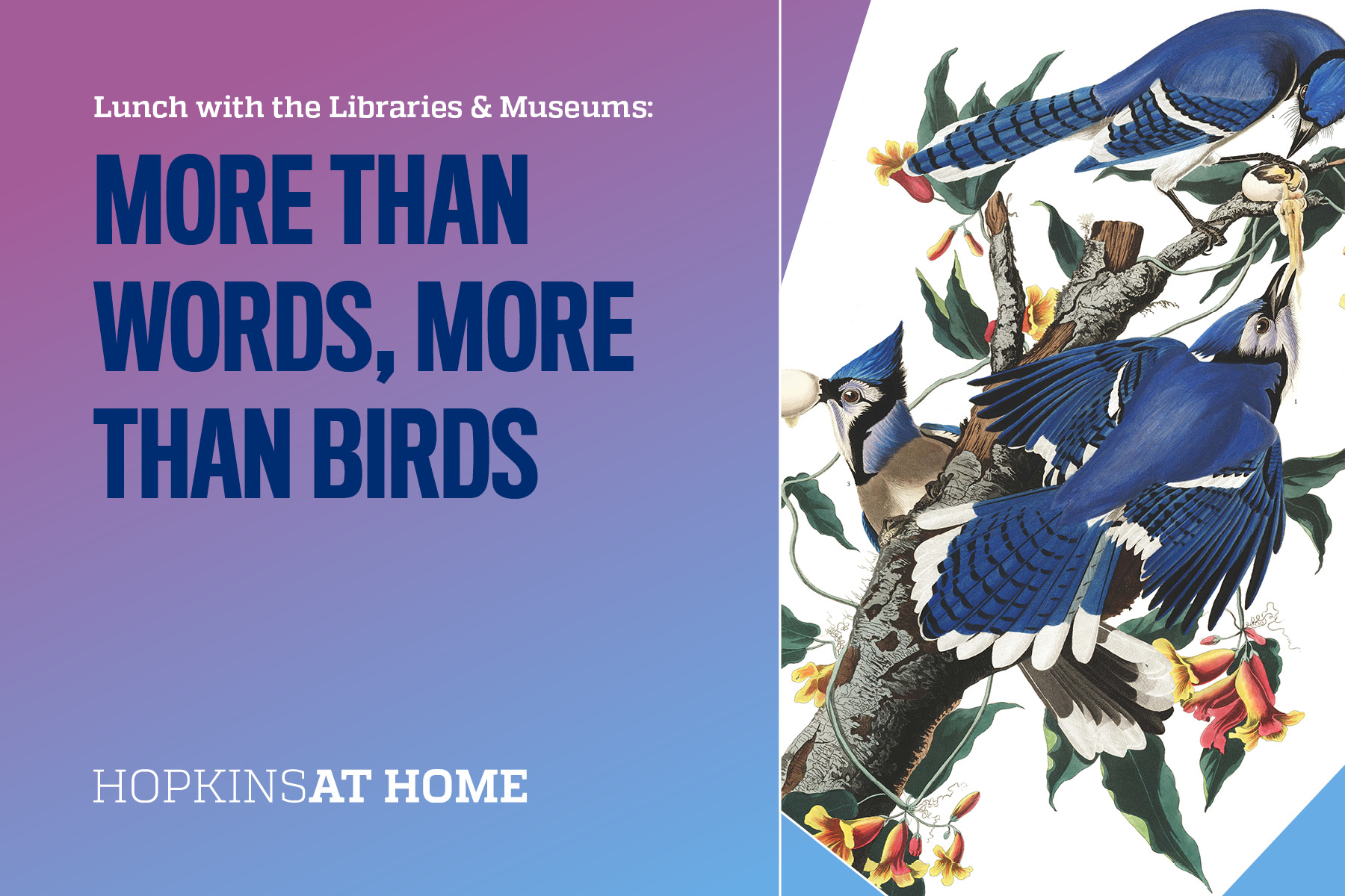 Lunch with the Libraries & Museums: More than Words, More than Birds