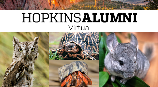 Cheyenne Mountain Zoo - Virtual Program: Animal Encounter Header Image