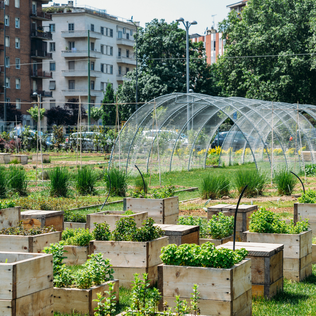 Urban Agriculture Today: Economics, Successes, and Challenges