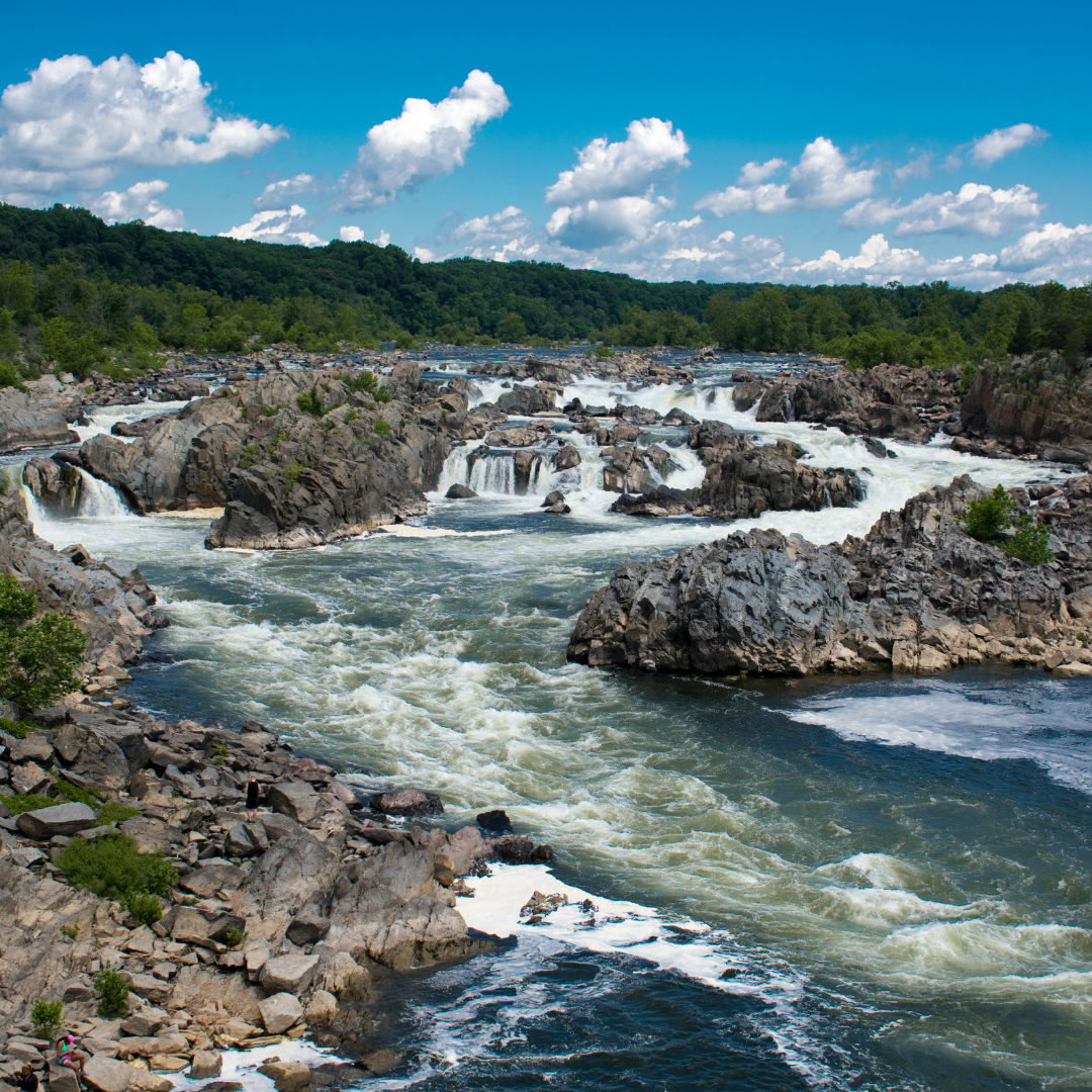 Outdoor Explorations: Rock Climb in Carderock Recreation Area