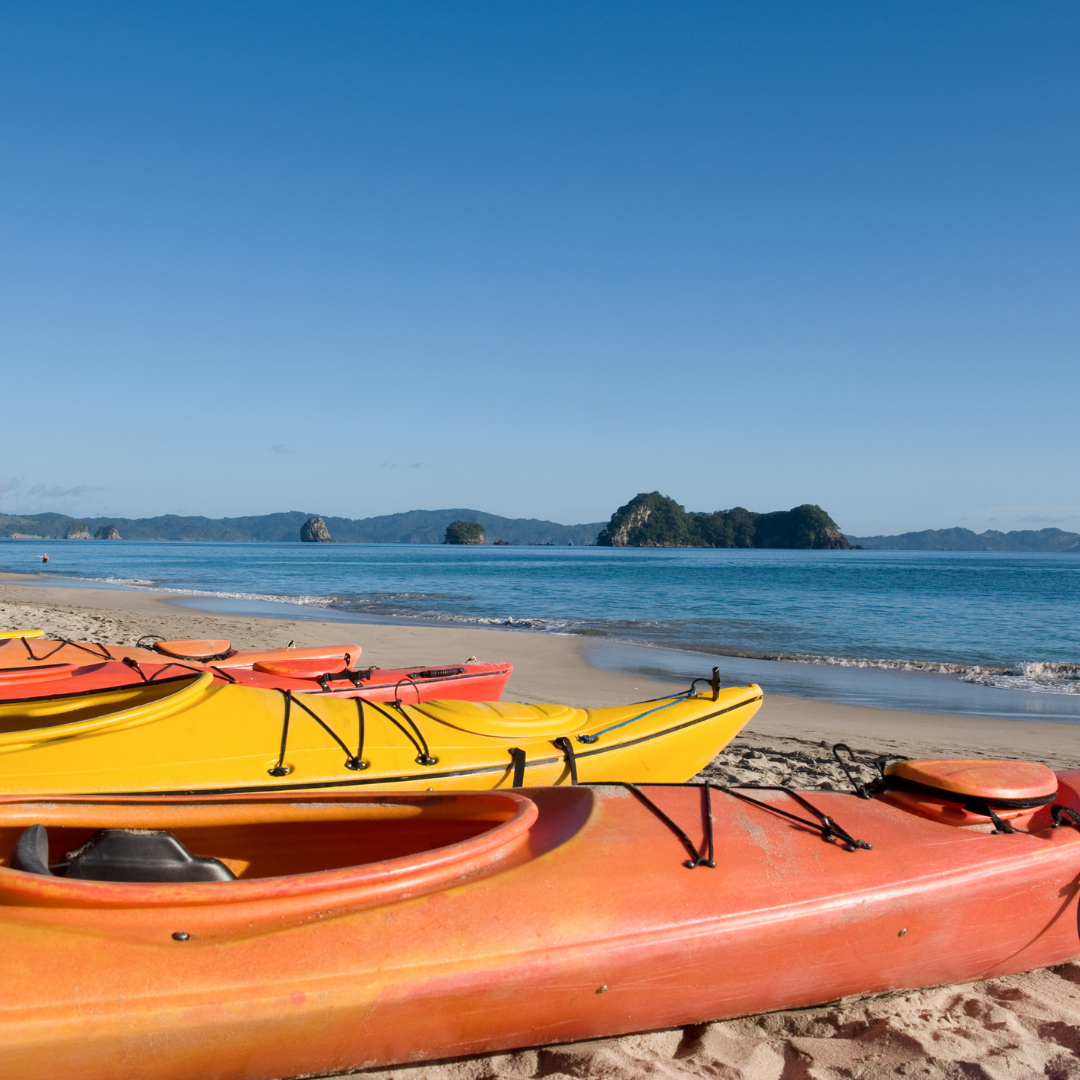 Santa Cruz, CA: Elkhorn Slough Kayak Tour