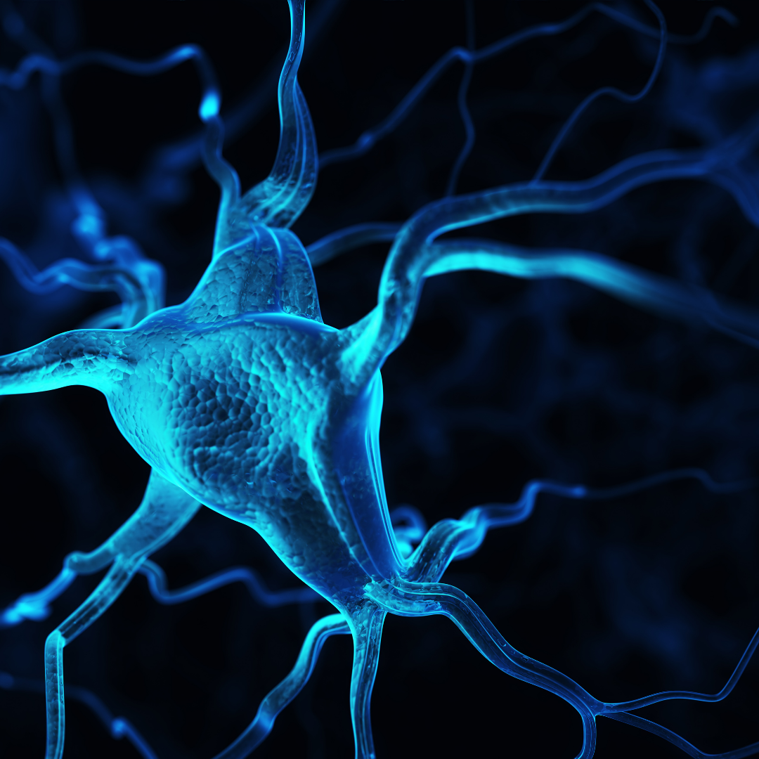Spotlight on Early Career ALS and Peripheral Neuropathy Investigators