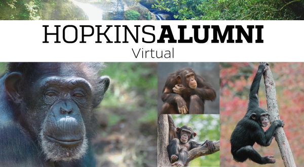 Museum of the Rockies - Virtual Program: Becoming Jane Chimps