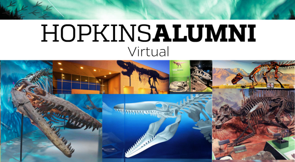 Museum of the Rockies - Virtual Program: Cretaceous Crossroads Header Image