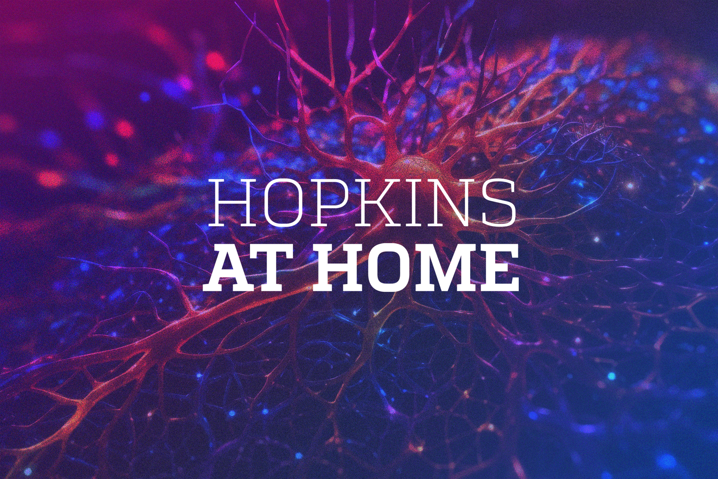 Hopkins at Home - NeuroArts