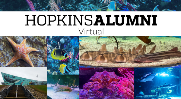 Newport Aquarium Shark Images with HopkinsAlumni Banner