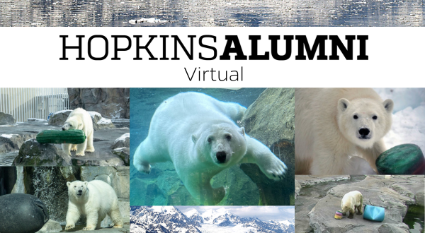 Hopkins Alumni Logo with Polar Bear Images