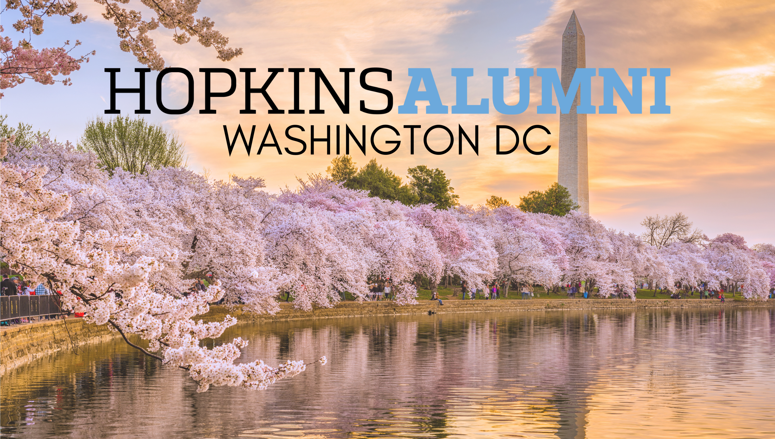 Washington DC Skyline with Hopkins Alumni Washington DC 