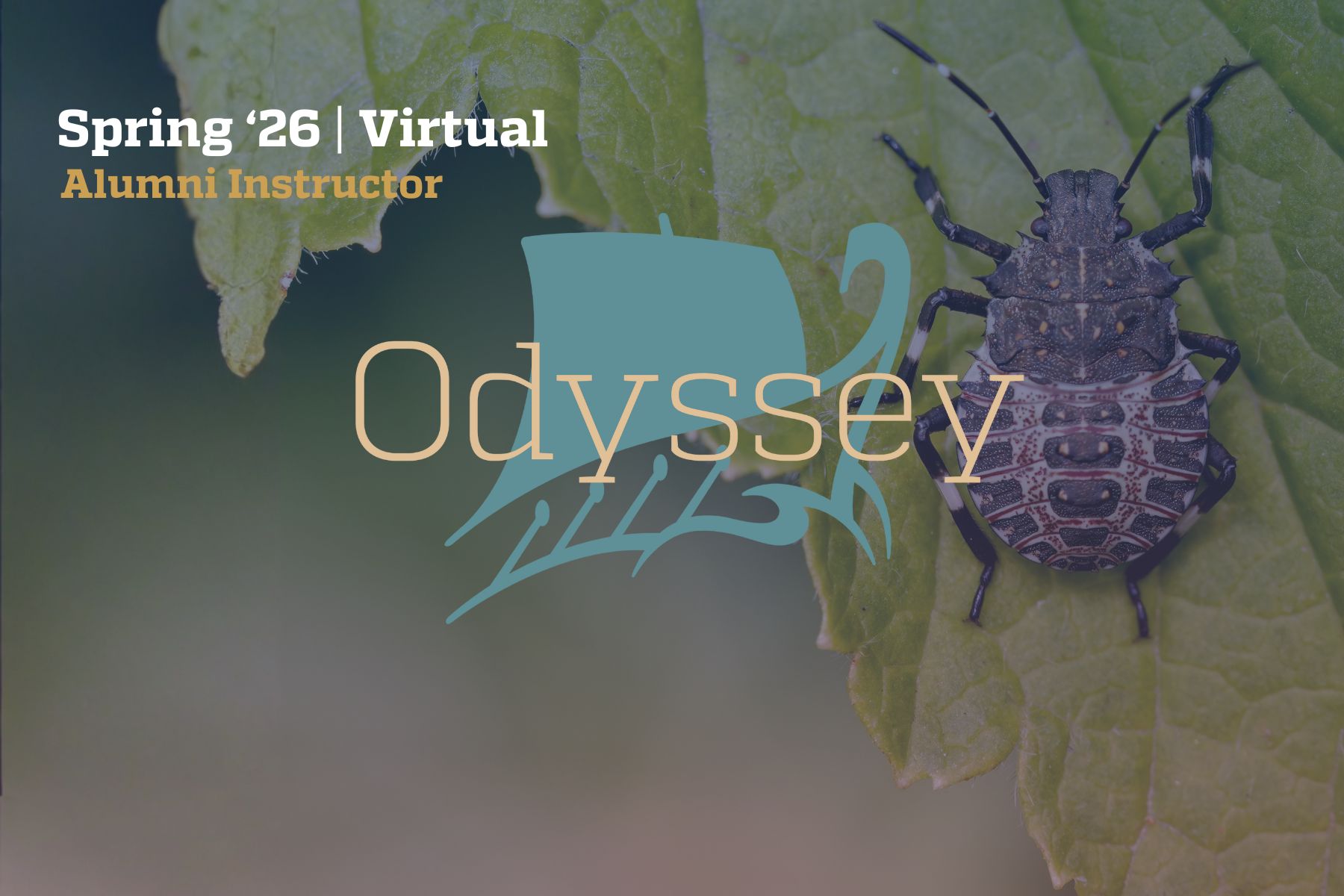 Ecology, Streams, Bugs and IBI’s with Dr. Kenneth Belt, Engr '91 (MEE), '94 (PhD) Header Image