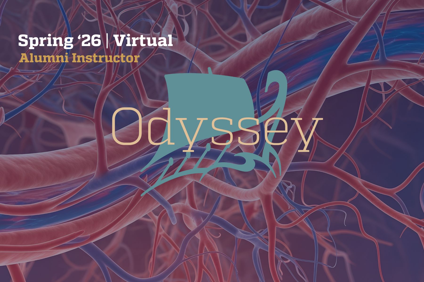 Insights into the Mechanisms and Management of Hypertension with Vasudha Gupta, Bus '23 (MBA) Header Image