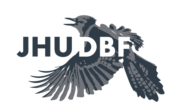 Design Build Fly Logo