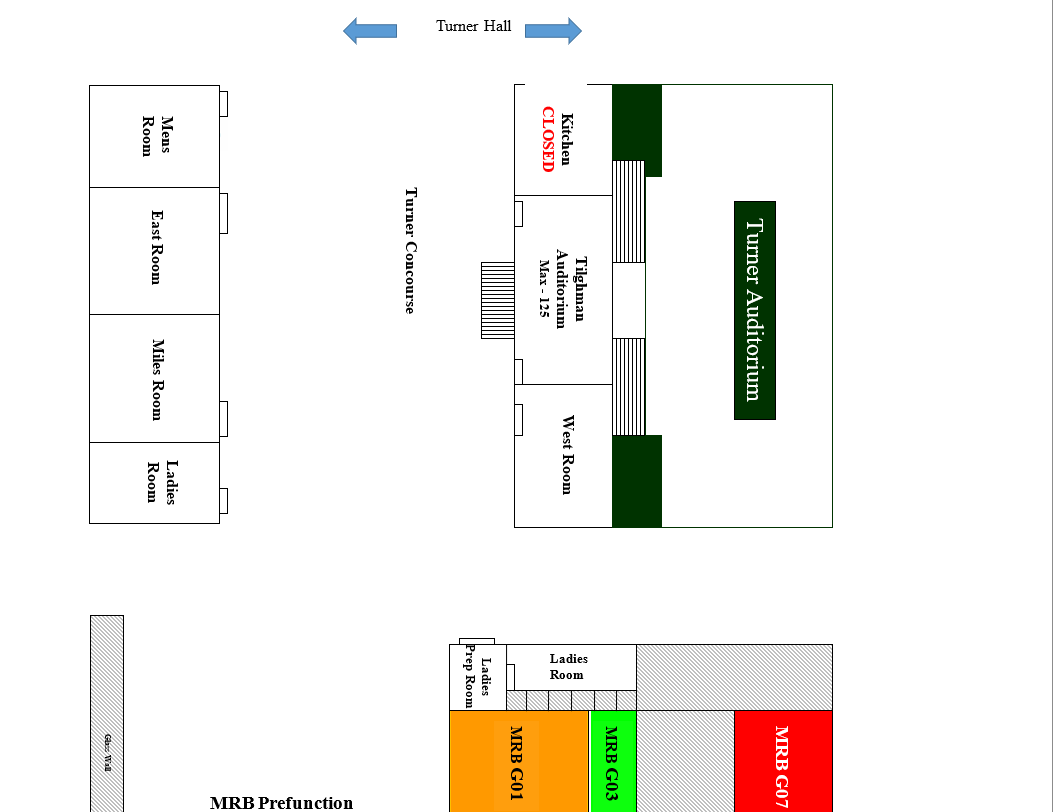 Turner Layout