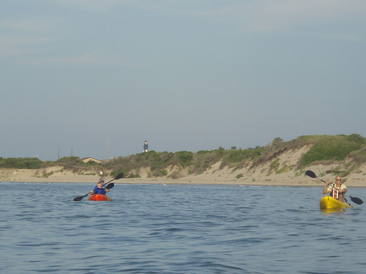 Hopkins Hampton Roads: Dolphin Kayaking Tour